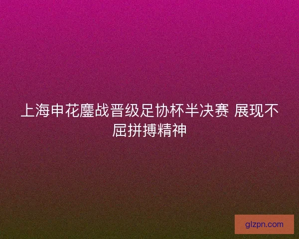 上海申花鏖战晋级足协杯半决赛 展现不屈拼搏精神 上海申花鏖战晋级足协杯半决赛 展现不屈拼搏精神